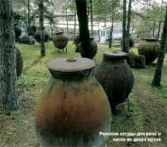 Журнал «Вокруг Света» №5 за 2004 год (2764) any2fbimgloader11.jpeg