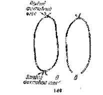 Фокусы на эстраде image137.png