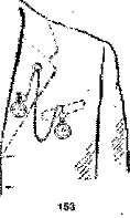 Фокусы на эстраде image141.png