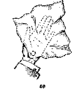 Фокусы на эстраде image53.png