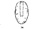 Фокусы на эстраде pict74.png
