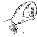Фокусы на эстраде pict75.png