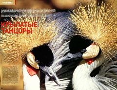 Журнал «Вокруг Света» №9 за 2003 год any2fbimgloader16.jpeg