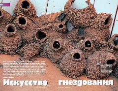 Журнал «Вокруг Света» №9 за 2003 год any2fbimgloader17.jpeg