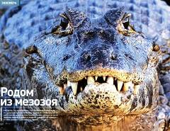 Журнал «Вокруг Света» №7 за 2003 год any2fbimgloader32.jpeg