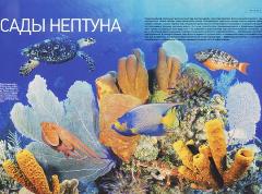 Журнал «Вокруг Света» №3 за 2003 год any2fbimgloader1.jpeg