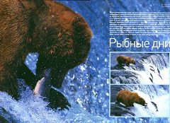 Журнал «Вокруг Света» №12 за 2002 год any2fbimgloader13.jpeg