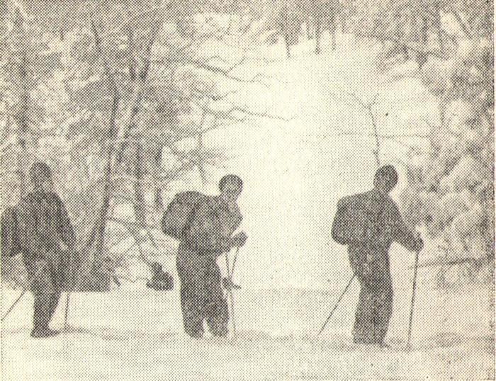 Справочник армейского туриста i_041.jpg