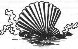 Волшебная мормышка i_061.jpg