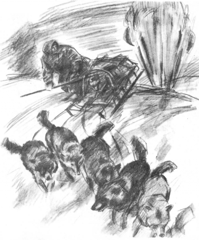 В сводке погоды - SOS _5.png