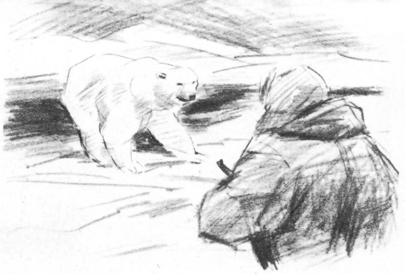 В сводке погоды - SOS _6.png