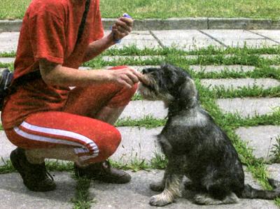 Клик-ням. Кликер-дрессировка для начинающих i_003.jpg