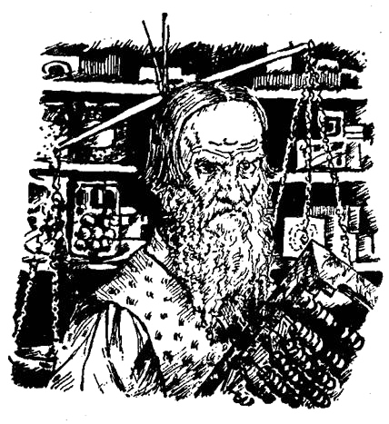 Солнце в день морозный (Кустодиев) i_007.png