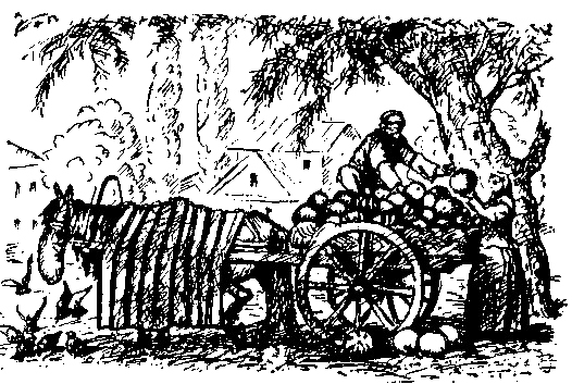 Солнце в день морозный (Кустодиев) i_003.png