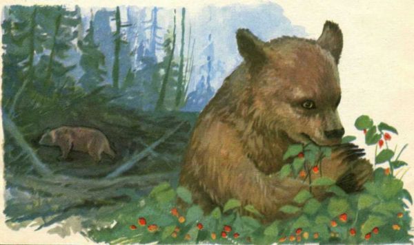 Ворона Ивановна (сборник) (с илл.) i_007.jpg