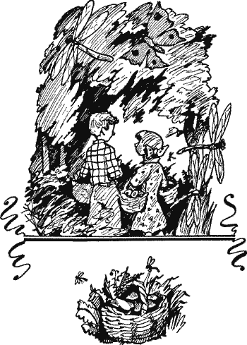 Ветерок Solpr245.png