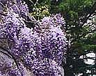 Попытка № 13 i_015.jpg