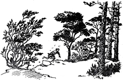 Конь и его мальчик (илл.) pic18.jpg