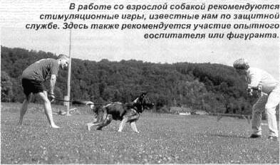 Апортировка весело, быстро, четко i_002.jpg