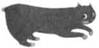 Cat Cross Their Graves pic_7.jpg