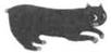Cat Cross Their Graves pic_32.jpg