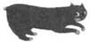 Cat Cross Their Graves pic_33.jpg