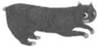 Cat Cross Their Graves pic_5.jpg