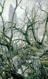 Fellowship of the Ring tol_brandir.jpg