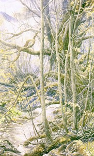 Fellowship of the Ring oldmanwillow.jpg