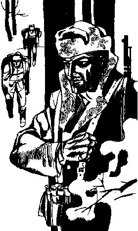 Серебряные рельсы (сборник) pic_4.png