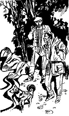 Серебряные рельсы (сборник) pic_7.png