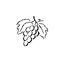 Corked by Cabernet pic_8.jpg