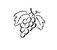 Corked by Cabernet pic_22.jpg