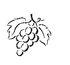 Corked by Cabernet pic_24.jpg
