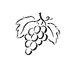 Corked by Cabernet pic_32.jpg