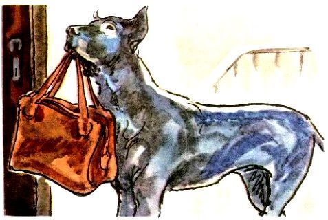 Санька - рекордсмен (с илл.) pic_5.jpg