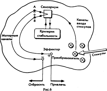 Мозг Фирмы sb6.png
