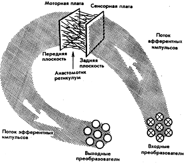 Мозг Фирмы sb7.png