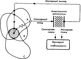 Мозг Фирмы sb48.png