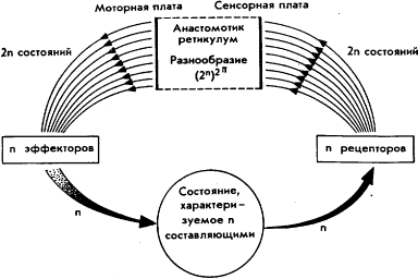 Мозг Фирмы sb9.png
