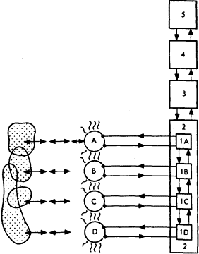 Мозг Фирмы sb21.png