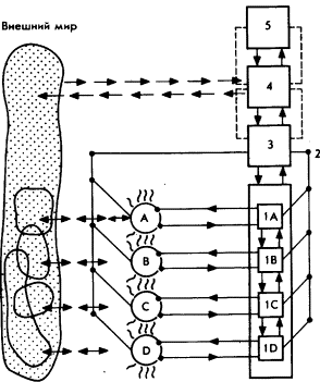 Мозг Фирмы sb22.png
