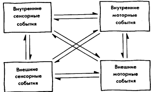 Мозг Фирмы sb25.png