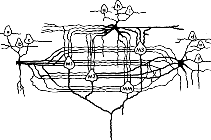 Мозг Фирмы sb40.png