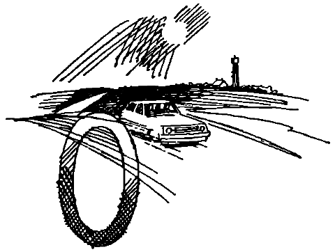 Двенадцать тонн бриллиантов i_039.png