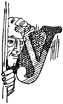 Двенадцать тонн бриллиантов i_007.png