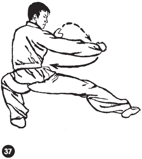 Уличное кунфу i_078.png
