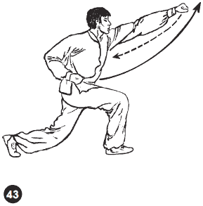 Уличное кунфу i_084.png