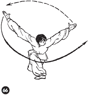 Уличное кунфу i_107.png