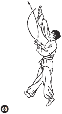 Уличное кунфу i_109.png
